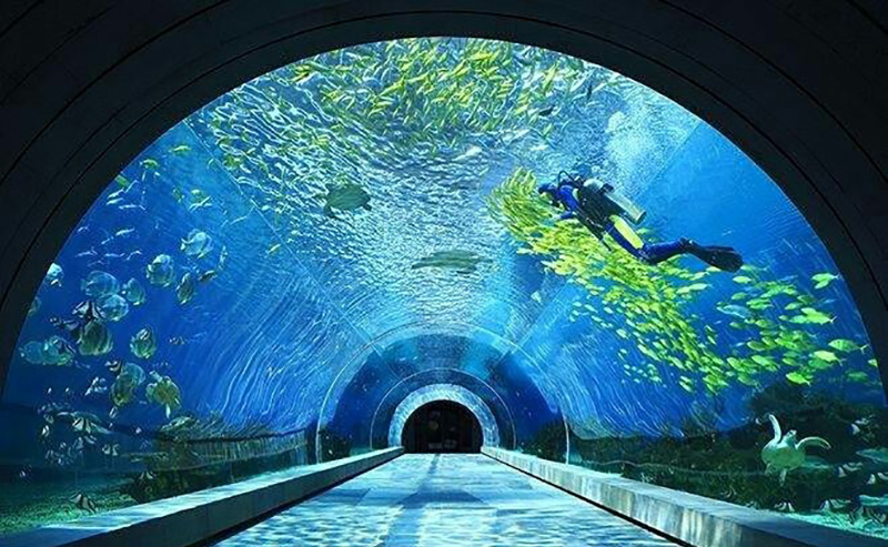 三亞潛水攻略，潛水內(nèi)幕（原文螞蜂窩）