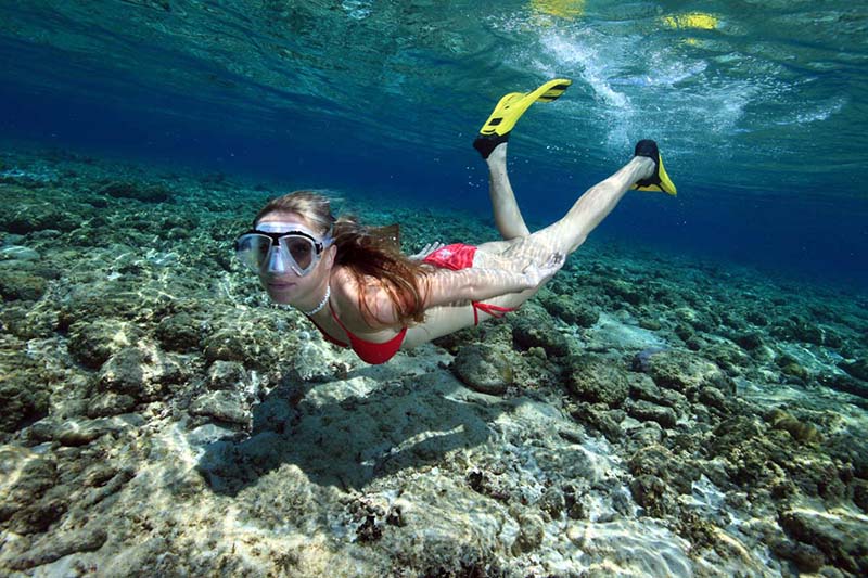 自由潛究竟危不危險？