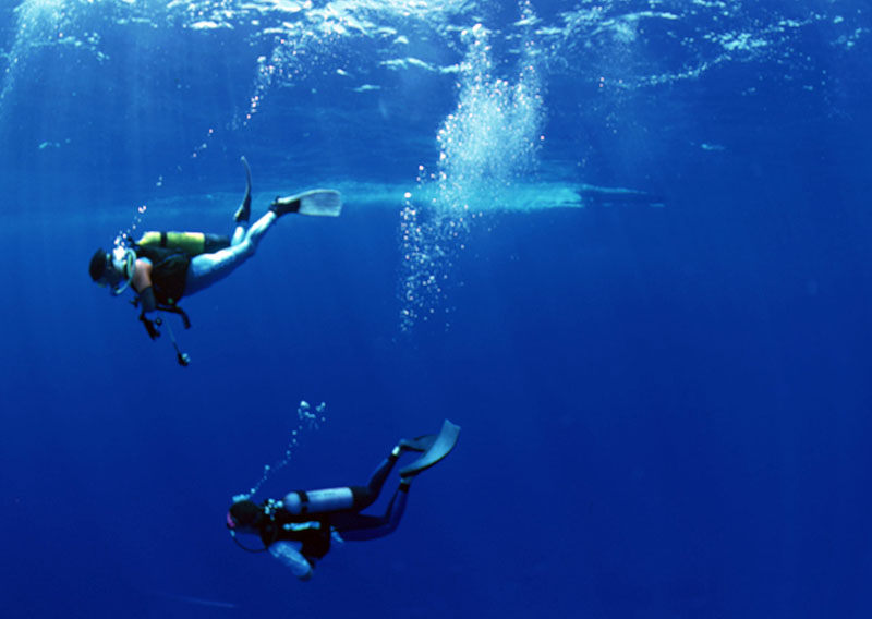 珊瑚類受傷中毒