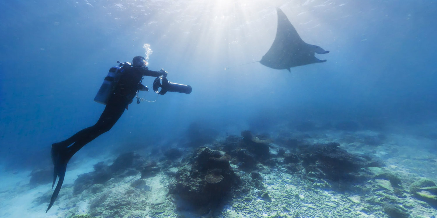 注意，這幾種情況下不能潛水