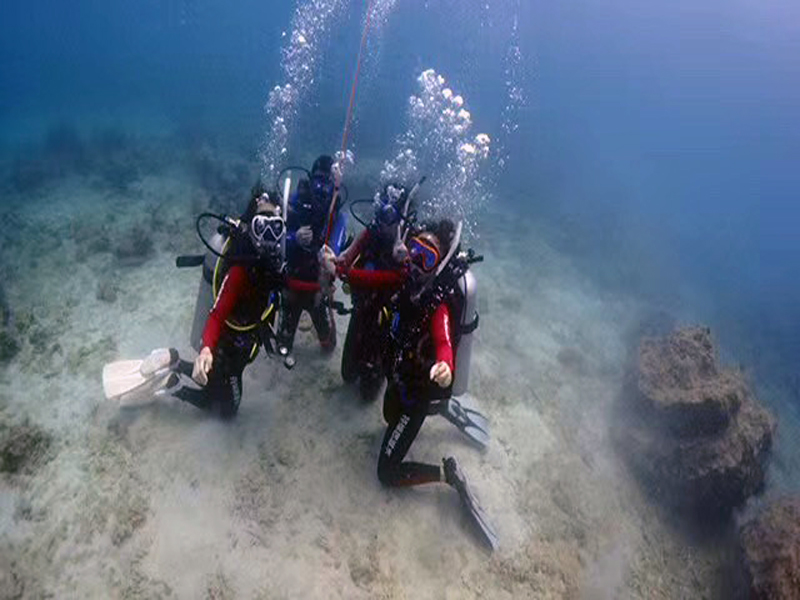 你的百潛是不是白潛了？