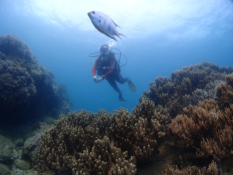 目前世界較大的潛水培訓(xùn)系統(tǒng)有哪些？