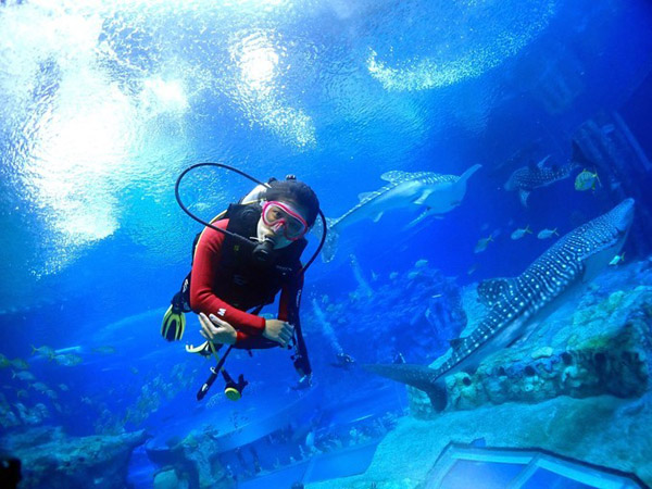 潛在水里，學(xué)做一條靜靜的魚