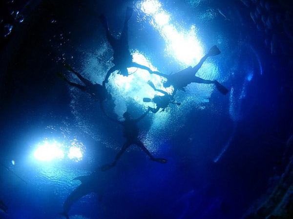 潛在水里，學(xué)做一條靜靜的魚