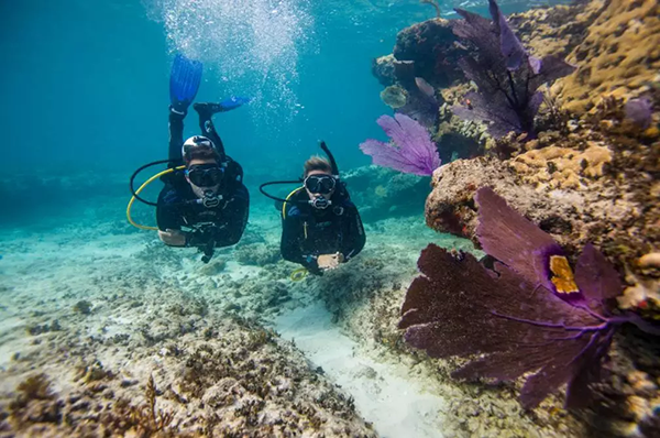 【水肺潛水安全嗎？】轉(zhuǎn)自PADI