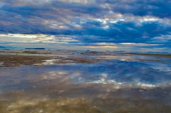 如果知道海洋中的塑料垃圾會進入人類肚子，你還會丟嗎？