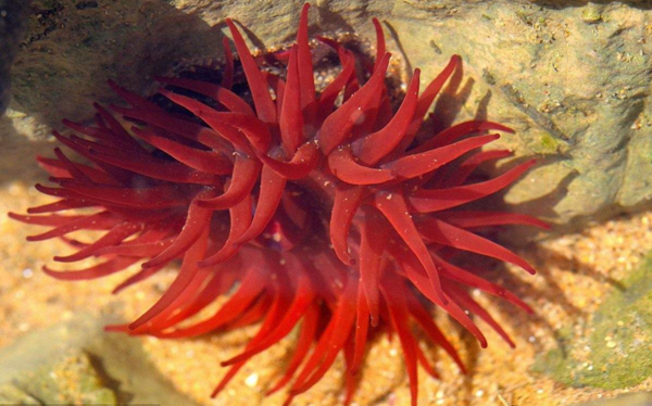 等指?？? title=