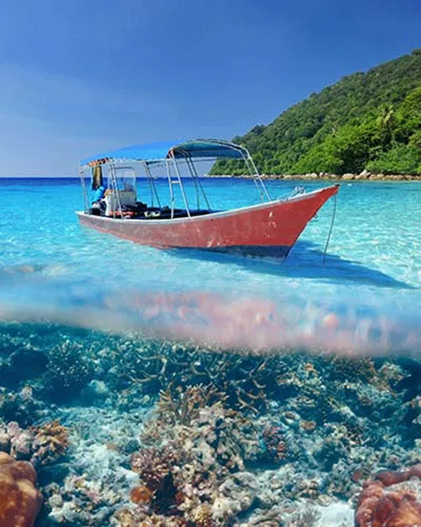 馬來(lái)西亞潛水絕佳攻略