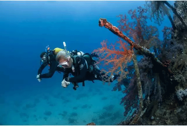 成為潛水員之前的你，是不是也問過這些問題？