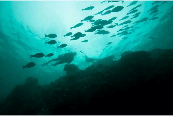 成為潛水員之前的你，是不是也問過這些問題？