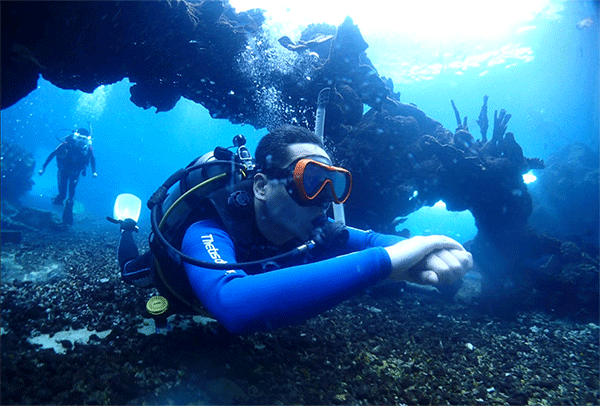 潛水常見問題，原來潛水沒你想的那么難