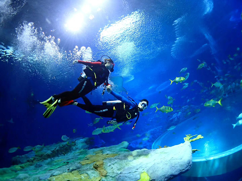 珠海長(zhǎng)隆海洋王國(guó)德國(guó)寶華壓縮機(jī)投入使用