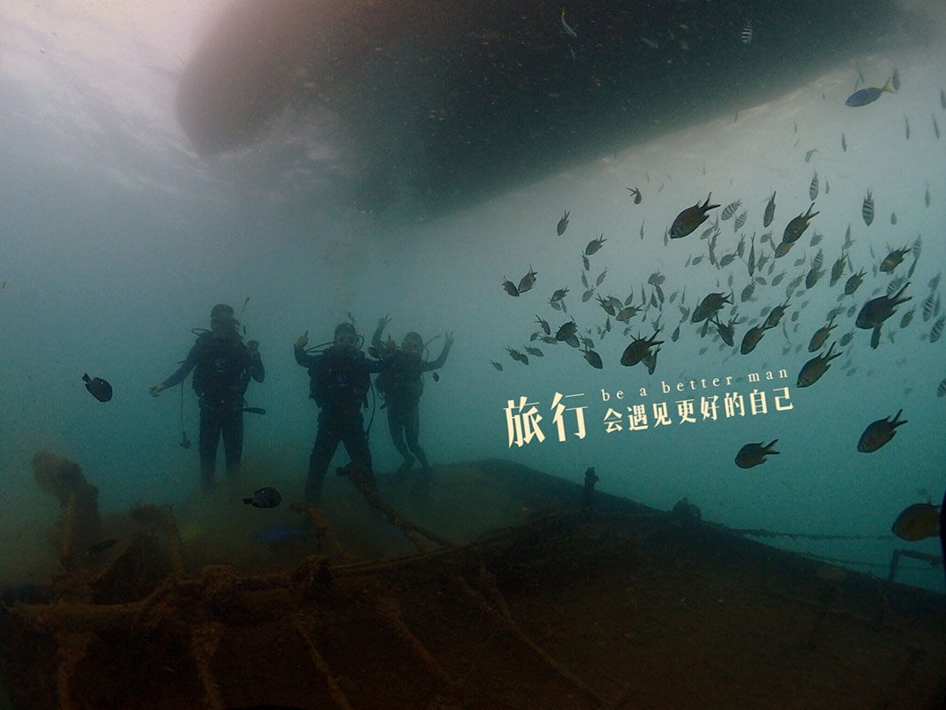 除了俯瞰大地的飛翔，還有潛入海底的翱翔。