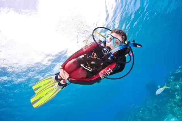 PADI 專長課程丨帶給你探索海洋世界的無限可能